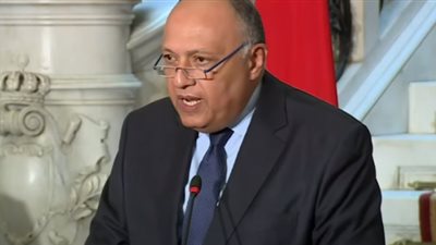 وزير الخارجية لرئيس الاتحاد الأفريقي: مستعدون للانخراط في مفاوضات جادة للتوصل لاتفاق قانوني حول سد النهضة.. ولابد من التزام مُماثل من اثيوبيا
