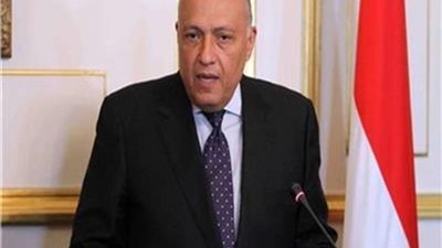 وزير الخارجية يتلقى اتصالاً من نظيره البرازيلي عبر الفيديو كونفرانس