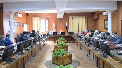 تحديد الكليات و البرامج الخاصة بالجامعة الأهلية ببنى سويف