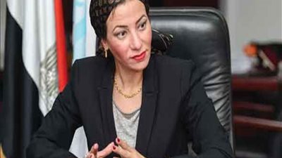 وزيرة البيئة تقود جولة ميدانية على مصانع التبين وحلوان