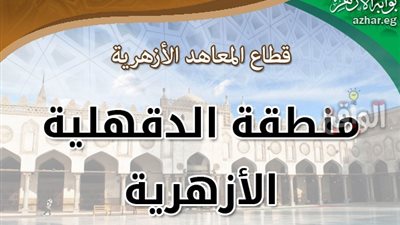 اللجنة النقبابية للعاملين بمنطقة الدقهلية الازهرية : نؤيد التعديلات الدستورية لانها تشكل اصلاحا للدستور والقانون