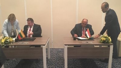 شكري يبحث مع نظيره الليتواني سبل دفع العلاقات الثنائية بين البلدين