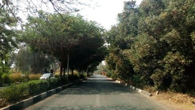 إستمرار أعمال مشروعات الصرف الصحى والنظافة بالأقصر