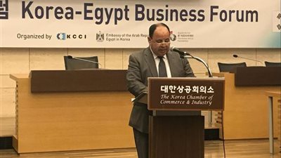 وزير المالية: الدولة حريصة على حل مشاكل المستثمرين.. ووضع كل الأليات لحل المعوقات