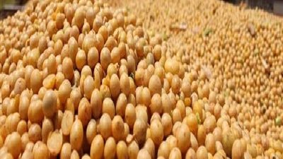 ضبط 6 مليون كيلو فول صويا غيرصالحة للاستهلاك الادمى