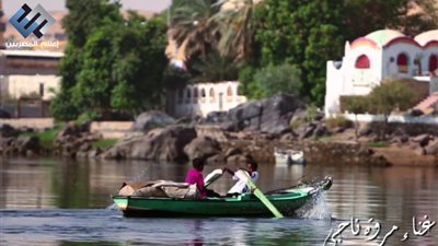 ايدينا واحدة .. اغنية جديدة لمروة ناجى اهداء لشعب مصر من اعلام المصريين