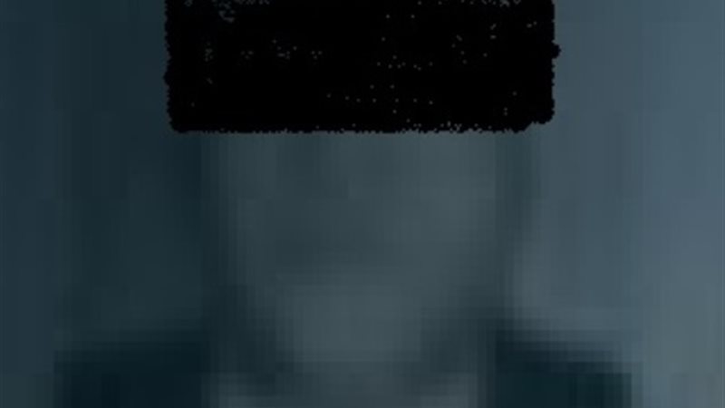 صاحب الشركة الهارب