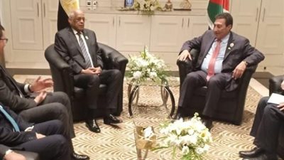 د. علي عبد العال: ما يجمع بين مصر والاردن تطابق في وجهات النظر