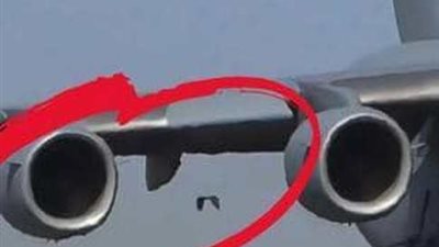 طائر 