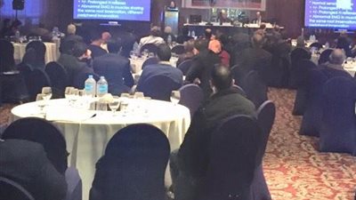 أدوية الروماتويد المصرية تستخدم نفس المادة الفعالة للأجنبية ولهانفس التأثير.