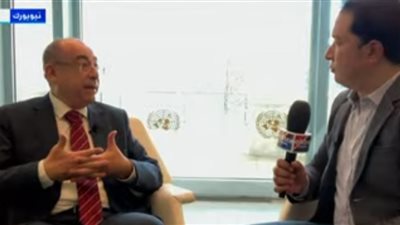 ادريس : انخراط مصر في العمل الدولي يؤدي إلى تكامل الجهود المقدمة للدول الأفريقية