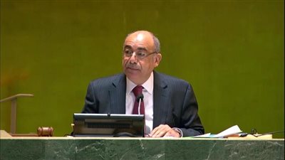 السفير محمد ادريس : مصر مكانها الواضح والصحيح في قلب العمل الدولي