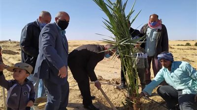 رئيس الداخلة يشهد مبادرة افطيمة لزراعة النخيل بالوادى الجديد