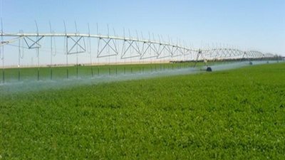 20 الف اضافية لمشروع استصلاح 50 الف فدان بجبل الكامل بالعوينات