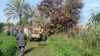 إزالة ١٠ حالات تعدي على الأرض الزراعية وأملاك الدولة بمساحة ٢٠٦٠ متراً بالزقازيق وديرب نجم