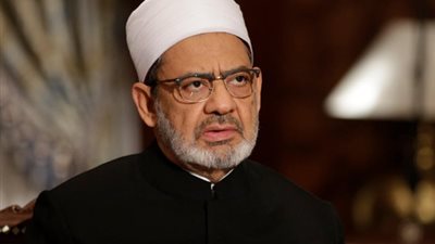 شيخ الأزهر: إنجاز عربي جديد يتحقق على أرض الواقع بوصول 
