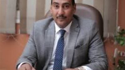 محمد احمد الجبلاوي مصر تتبنى رؤية شاملة في مجال الطاقة تحافظ على البيئة