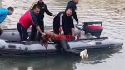 مصرع شخص وإصابة 2 بعد غرقهم في ترعة الشيخ زايد جنوب أسوان