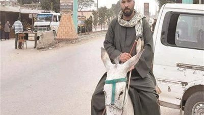 أمن المنيا يفرج عن صاحب واقعة 