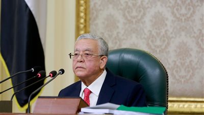 جبالي يفتتح الجلسة العامة لمناقشة قانون بلازما الدم