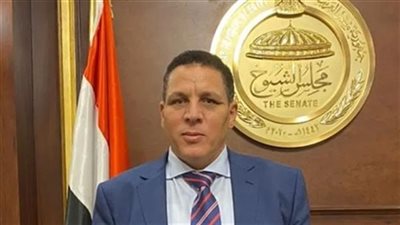 احمد محسن: زيارة الرئيس لـ الهجانة حدث تاريخي وتغيير اسمها لمدينة الأمل يؤكد لسكانها بداية عهد جديد