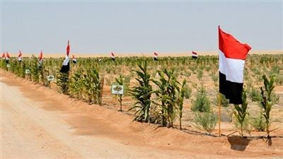الديهي: السيسي حول تنمية سيناء النظرية لواقع