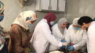 الزراعة تختتم دورة معهد صحة الحيوان حول تشخيص امراض الدواجن