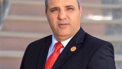 أمين حماة الوطن بالمنيا: قرار الرئيس السيسي صائب وحكيم