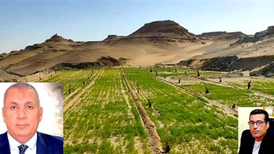 فدان خير جمعيات فى كل بير للايتام والارامل بالواحات