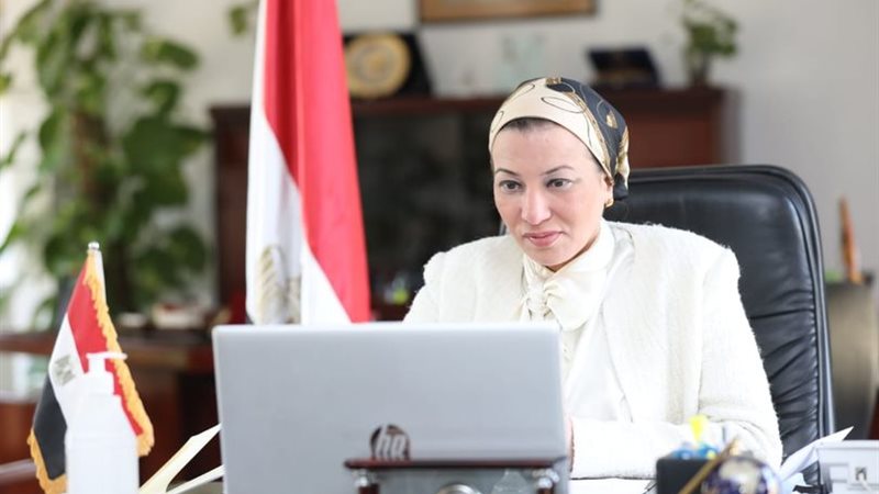 الدكتورة ياسمين فؤاد-
