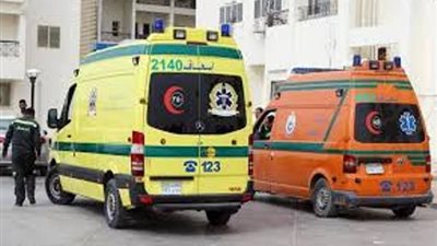 بينهم 4 أطفال ..إصابة 7 أشخاص من أسرة واحدة باختناق في الشرقية