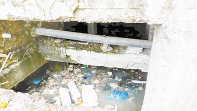 مدينة العرائس تستغيث.. الفئران والثعابين تهاجم السكان والعقارات آيلة للسقوط