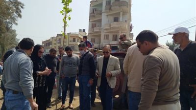 رئيس مجلس مدينة دكرنس: زراعة ٤٠٠ شجرة مثمرة على الطريق الرئيسى للمحمودية.. بالصور
