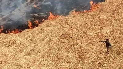 اشتعال النيران فى ٤ قراريط مزروعه بالفصب فى ابو تشت