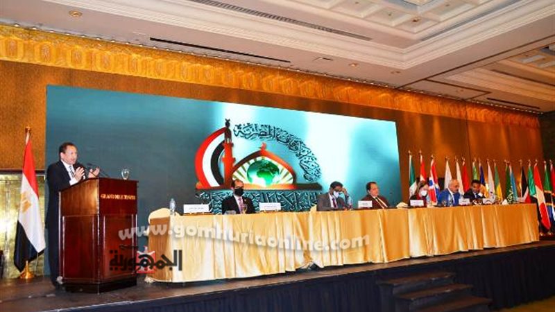 خفاجى يتحدث للوفود