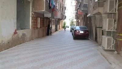 تطوير ورصف 29 شارع فرعي بـ 