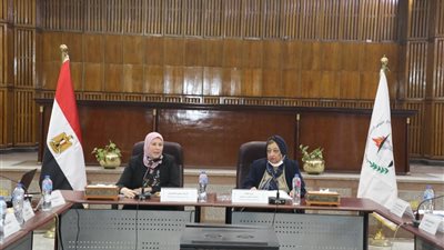القومي للبحوث الاجتماعية يناقش الأبعاد الأساسية لقضية الغارمين
