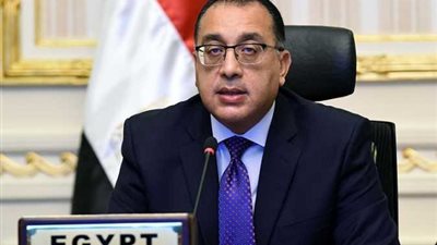 رئيس الوزراء : جنوح السفينة بقناة السويس حادث استثنائي