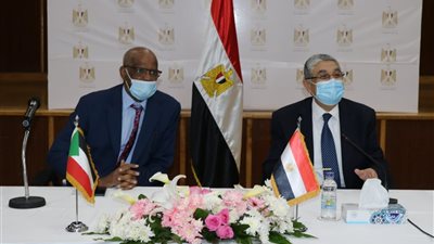453 مليون جنيه لرفع قدرة خط الربط الكهربائى بين مصر والسودان
