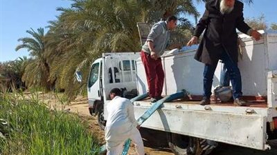 الثروة السمكية تدعم سيوة بمليون ذريعة سمكية من العائلة البورية