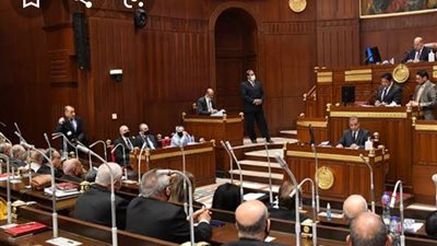 رئيس الشيوخ يفتتح الجلسة العامة لاستكمال مناقشة قانون الوقف الخيري