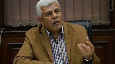 نقيب الزراعيين: المشروعات القومية الزراعية حققت الأمن الغذائي لمصر