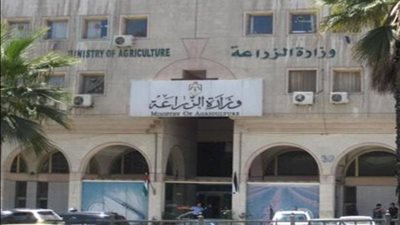 الزراعة: نشرة بالتوصيات الفنية لمزارعي المانجو خلال شهر ابريل