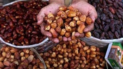 ١٧ توصية للمهرجان الاول للنهوض بقطاع التمور