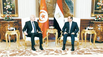 قمة مصرية- تونسية في القاهرة.. اليوم
