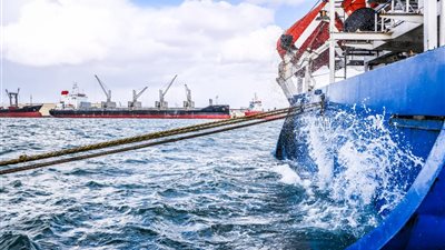 رغم الطقس السيئ ٩١ ألف طن بضائع عامة وتصدير ١٢٤٠ حاوية خضار وفاكهة إلى الخليج وأوروبا وأمريكا إجمالي حركة التداول بميناء دمياط
