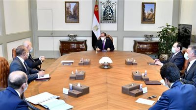 السيسي يبحث مع 