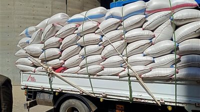 تموين المنيا : استقبلنا 3 الاف و292 طنا من القمح فى خمسة ايام