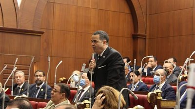 النائب عصام هلال يعلن رفضه لمشروع قانون امتحانات الثانوية العامة