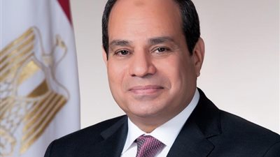 نقابة الزراعة تهنئ رئيس الجمهورية بذكرى نصر العاشر من رمضان